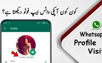 whatsapp profile view