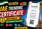 play.ae certificate download tutorial